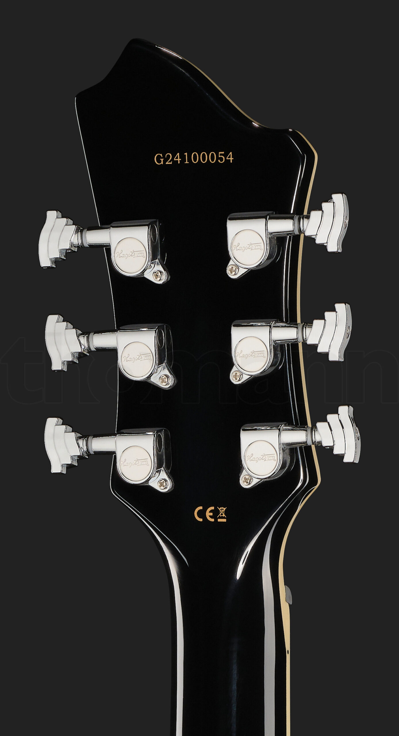 גיטרה חשמלית Hagstrom Megin Black Gloss 6 21410345.jpg