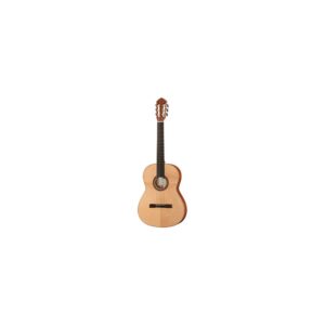 גיטרה אקוסטית Höfner HM65-F-S Senorita