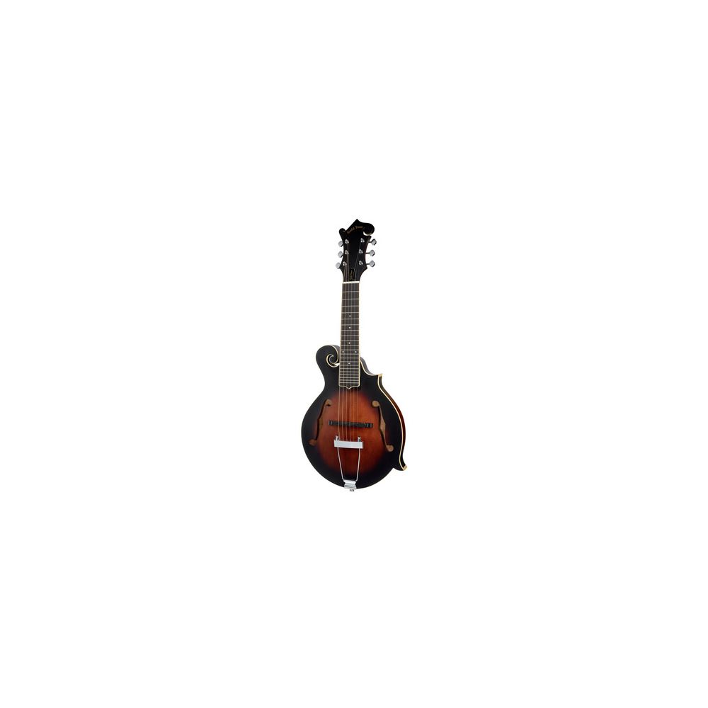 מנדולינה Gold Tone F-6 1 מנדולינה Gold Tone F-6