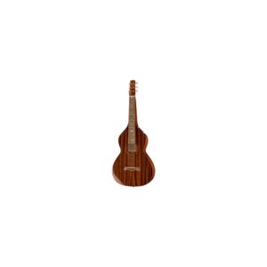 גיטרת לאפ סטיל Gold Tone SM+ Weissenborn