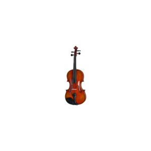 כלי קשת Eastman Albert Nebel Violin VL601G+