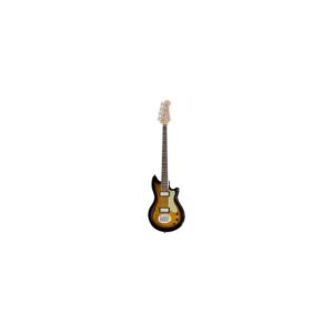 גיטרת בס Lakland Skyline Hollowbody-30 4 TSG