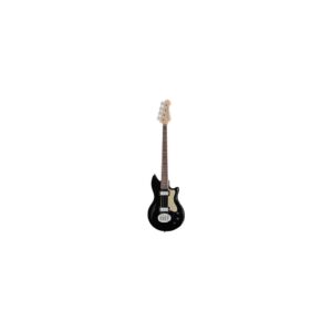 גיטרת בס Lakland Skyline Hollowbody-30 4 BG