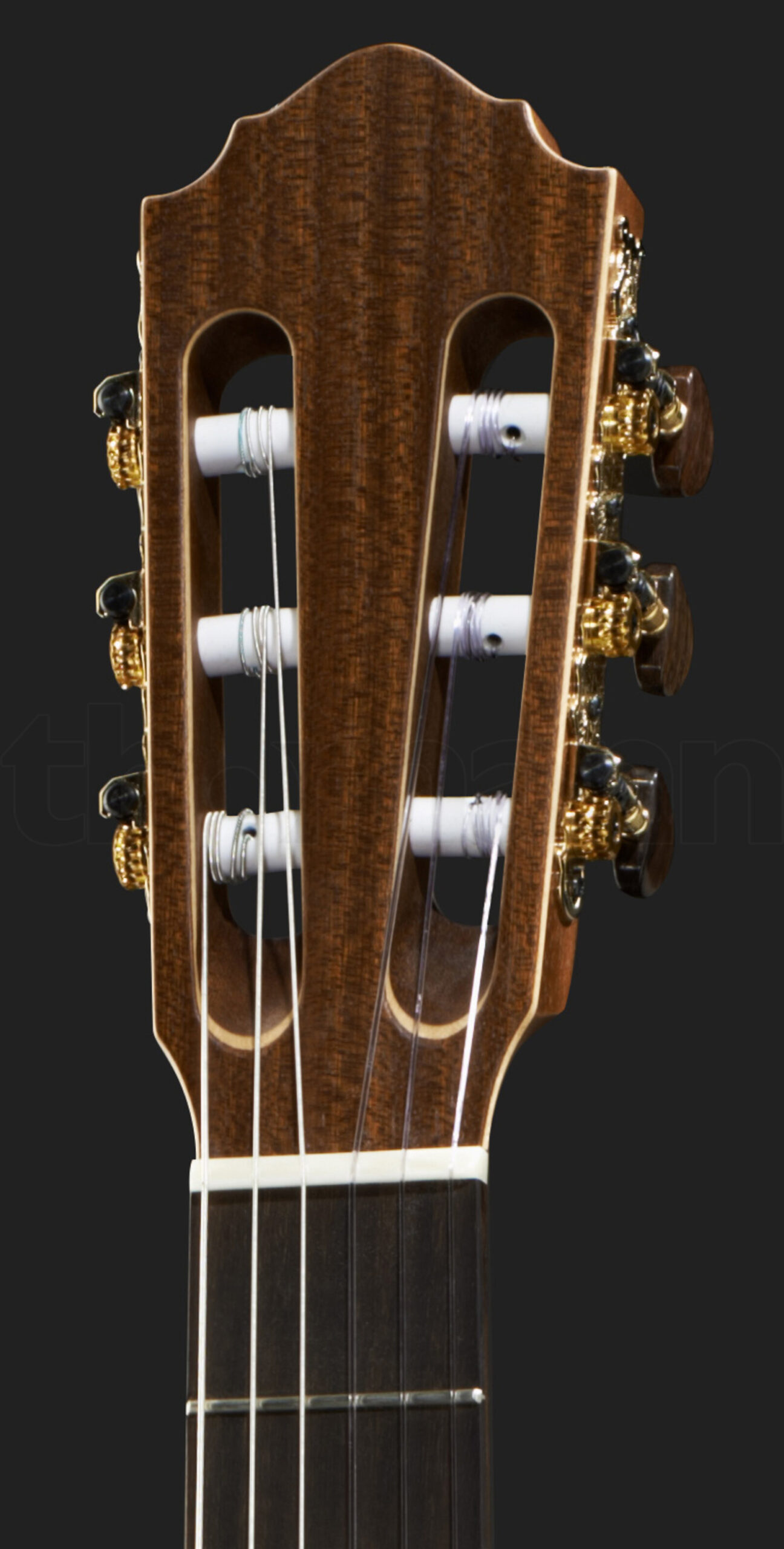 גיטרה אקוסטית Höfner HM65-F 5 7898866.jpg