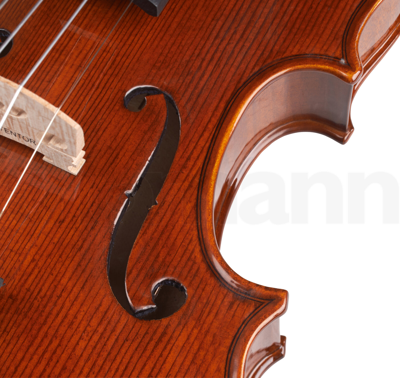 כלי קשת Stentor SR1550 Conservatoire 1/2 6 8128379.jpg