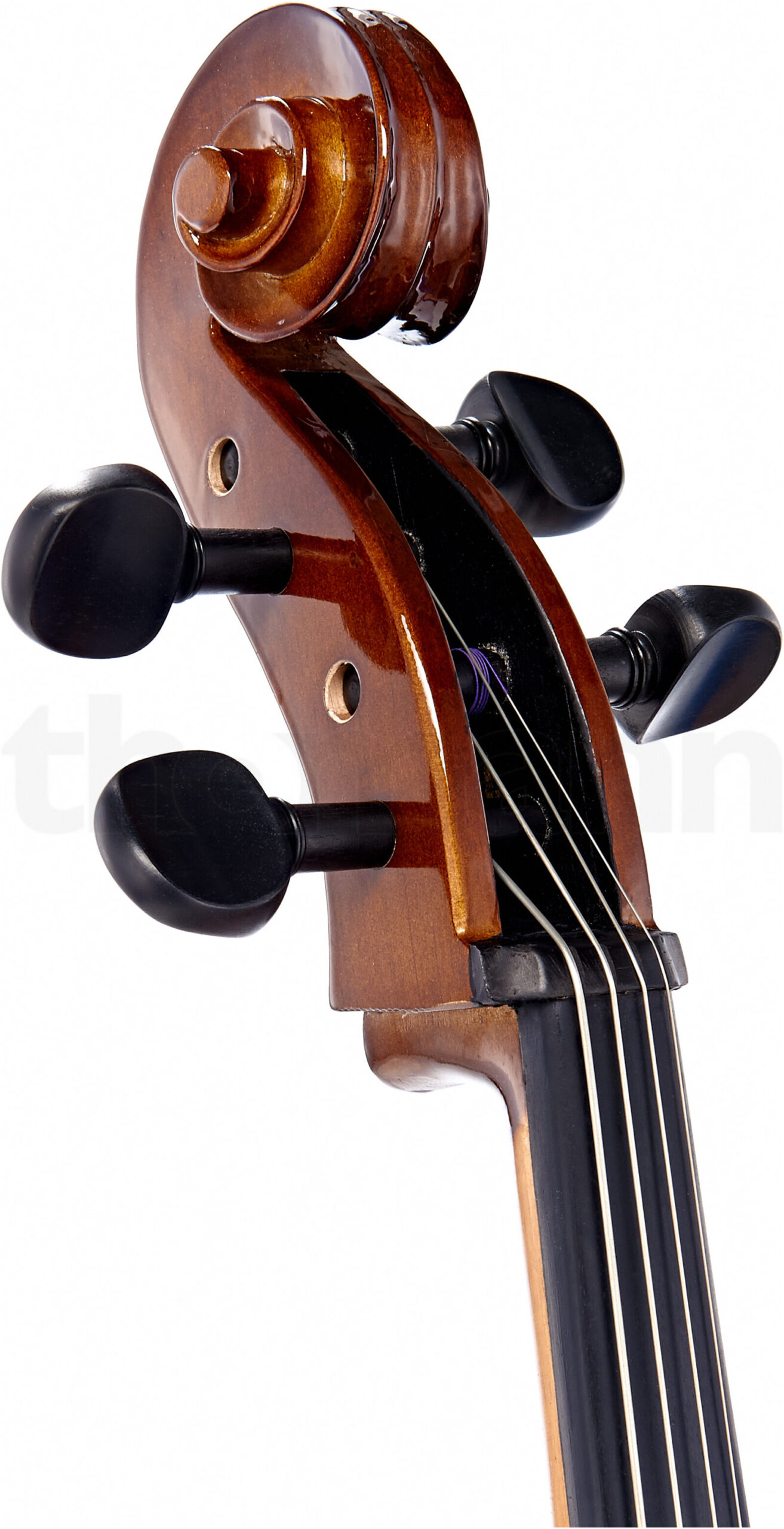 כלי קשת Stentor SR1108 Cello Student II 4/4 6 8270523.jpg