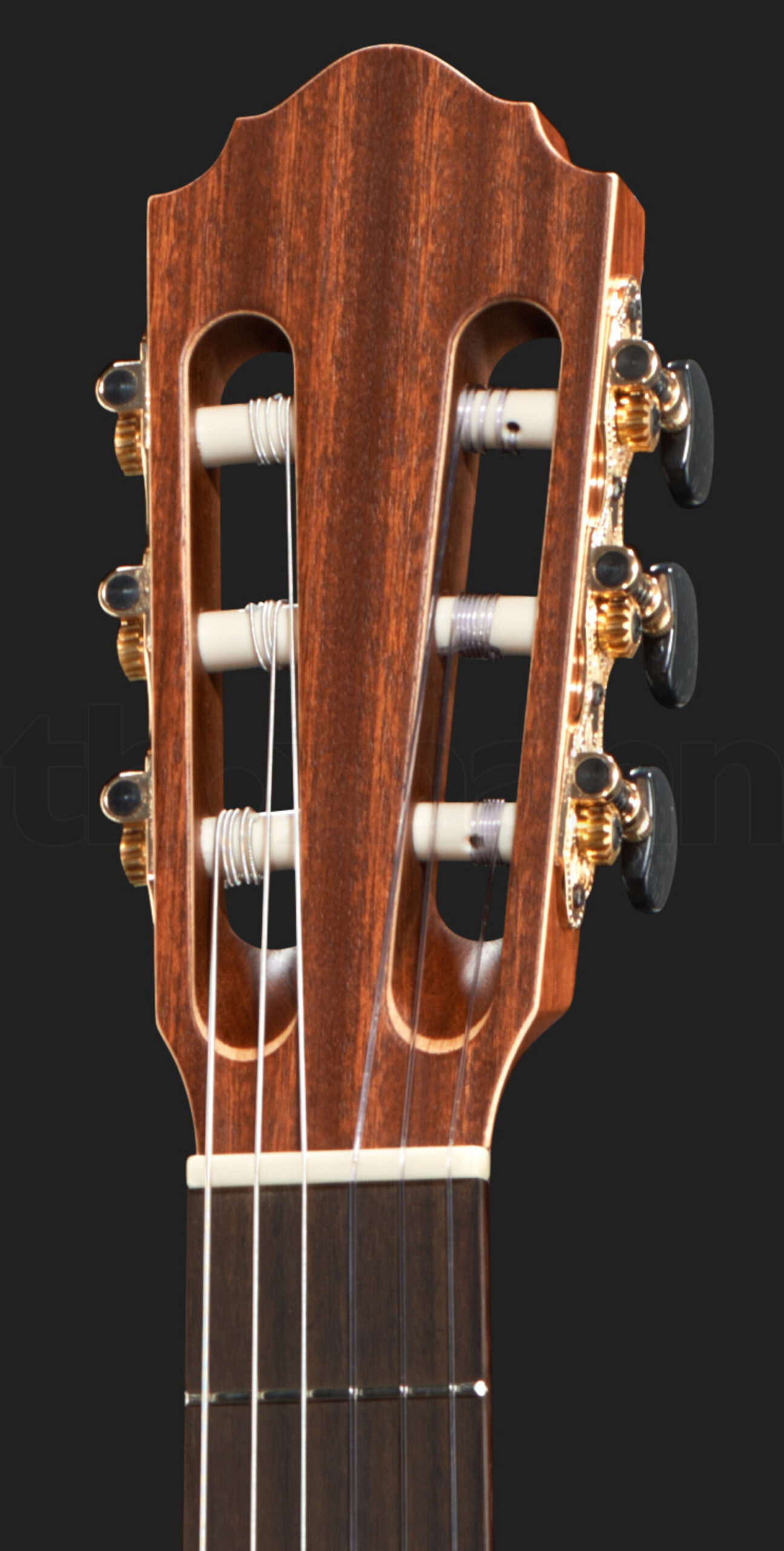 גיטרה אקוסטית Höfner HM65-F-S Senorita 5 8474916.jpg