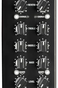 מגבר לגיטרה אקוסטית Laney A-DUO