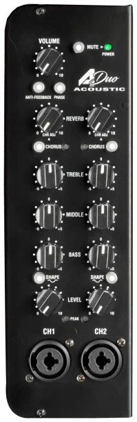 מגבר לגיטרה אקוסטית Laney A-DUO 2 מגבר לגיטרה אקוסטית Laney A-DUO