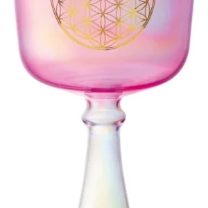 גביע קריסטל 6 אינץ’ Flower of Life Meinl CSC6FPFOL