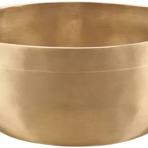 SB U 700 web with background main 2 1.webp