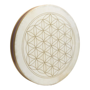 תוף אוקיינוס Meinl WD22FOL