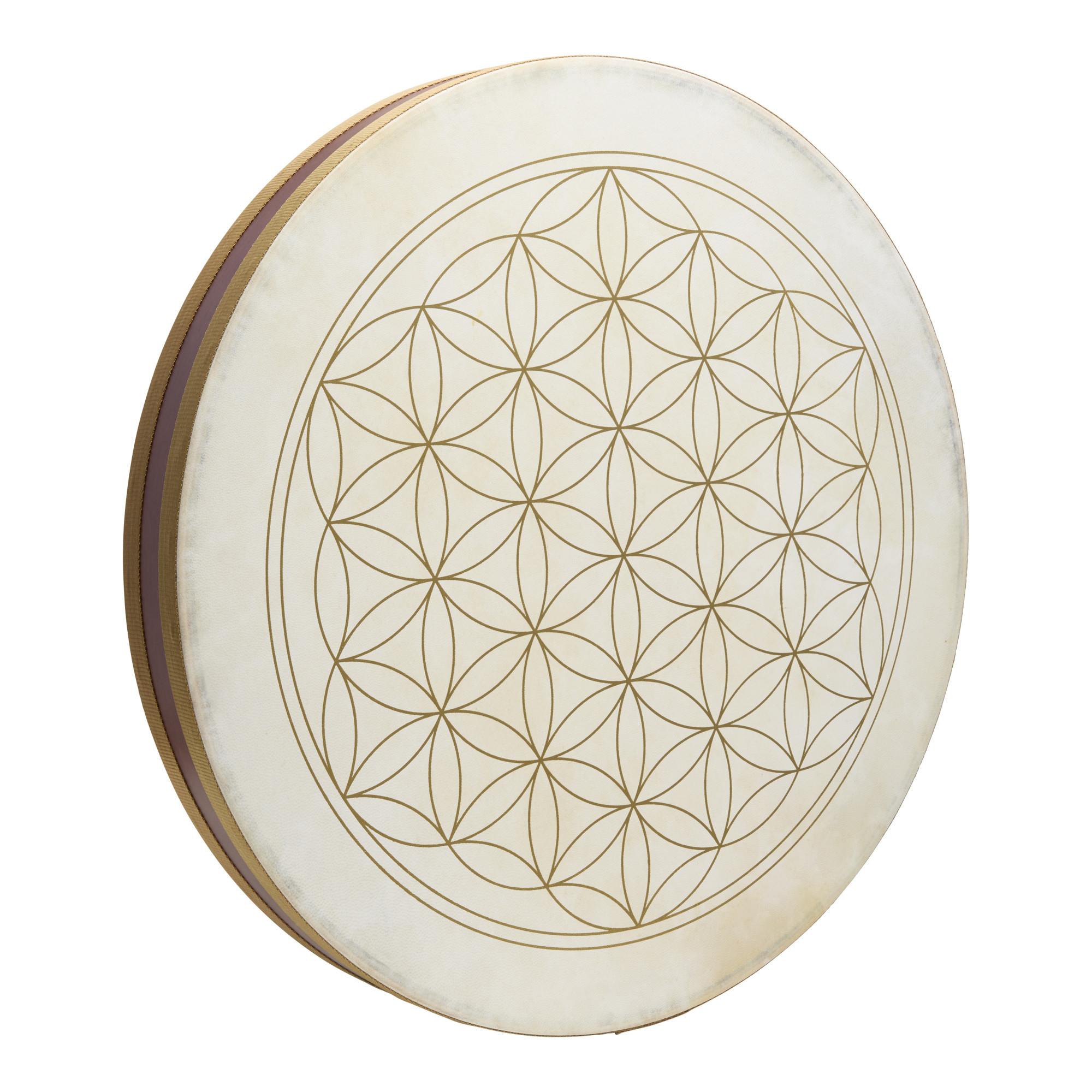 תוף אוקיינוס Meinl WD22FOL 1 WD22FOL.jpg