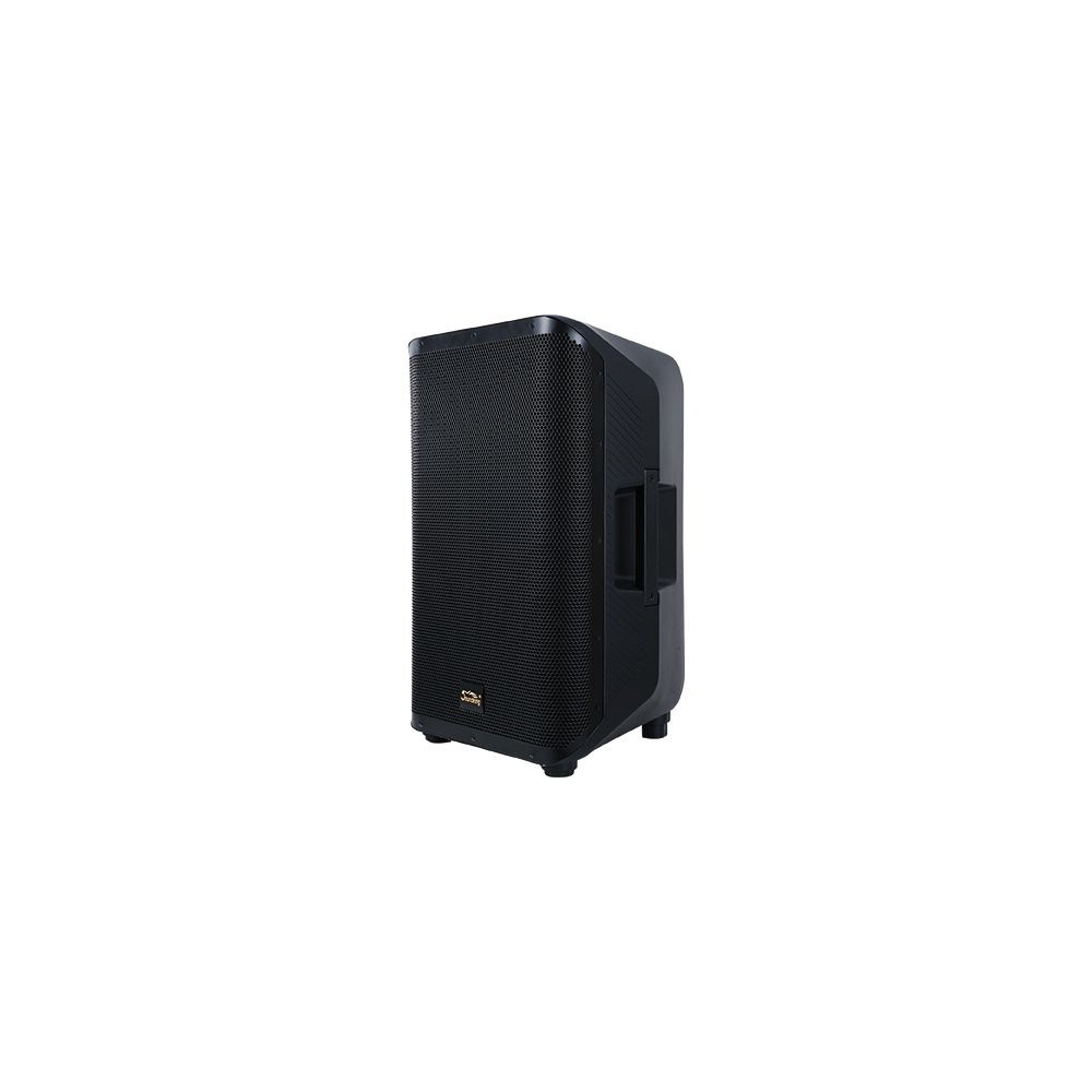 רמקול מוגבר קואקסיאלי Soundking Y10P 10″ עם DSP ו-Bluetooth 3 Y10P C 1000X1000 2.jpg