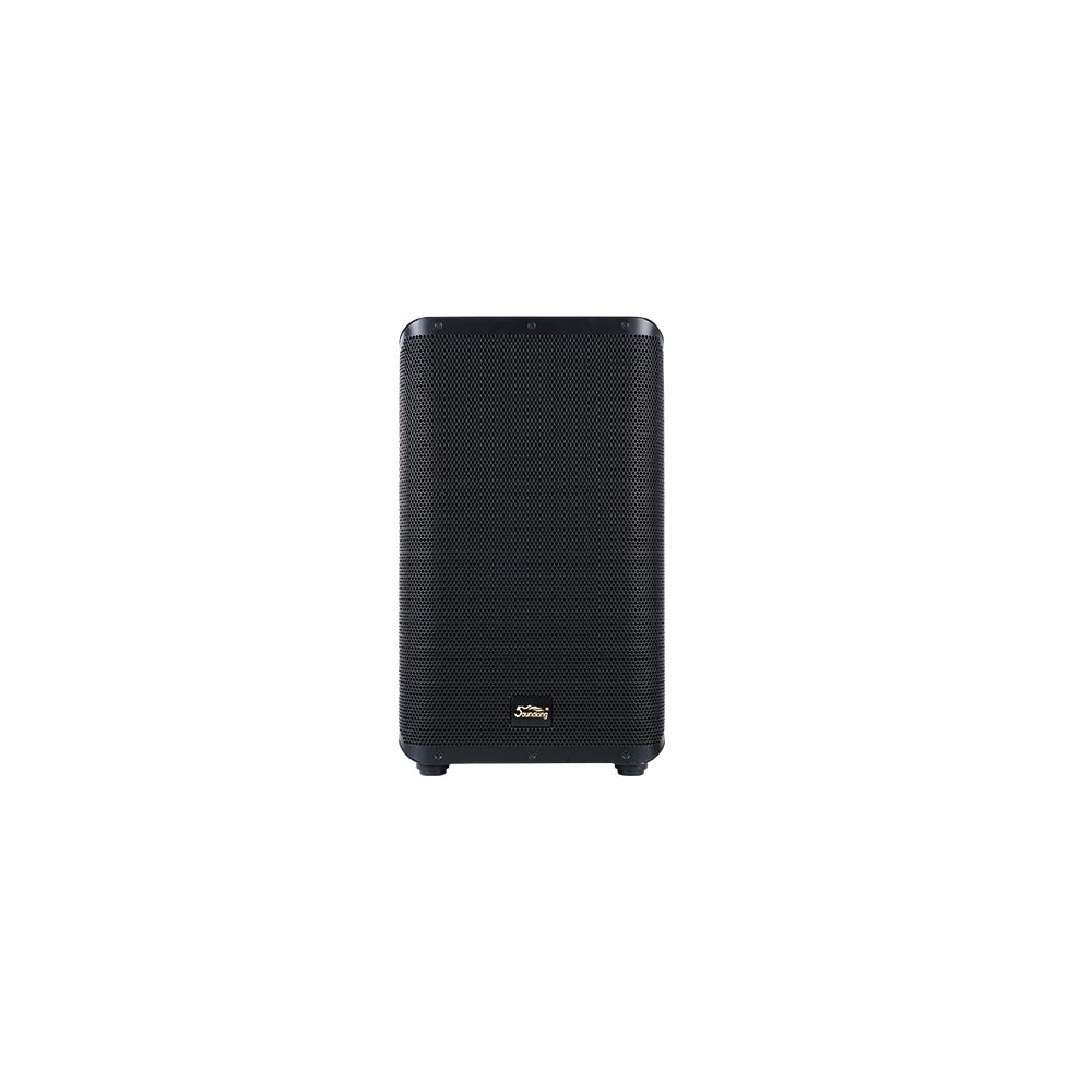 רמקול מוגבר קואקסיאלי Soundking Y10P 10″ עם DSP ו-Bluetooth 1 Y10P Z 1000.jpg