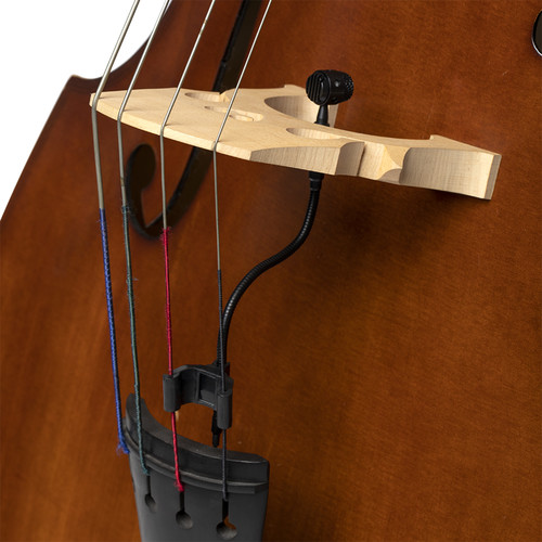 מיקרופון קונדנסר לכלי נגינה Stagg SIM20 — צוואר גמיש 4 מיקרופון קונדנסר לכלי נגינה Stagg SIM20 — צוואר גמיש