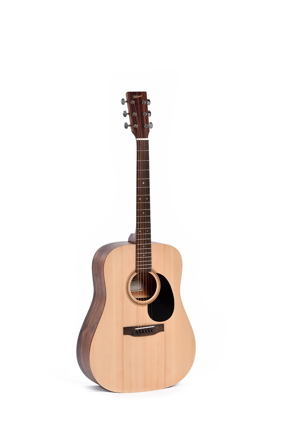 גיטרה אקוסטית Ditson by Sigma D-10 Dreadnought 1 גיטרה אקוסטית Ditson by Sigma D-10 – מבט קדמי