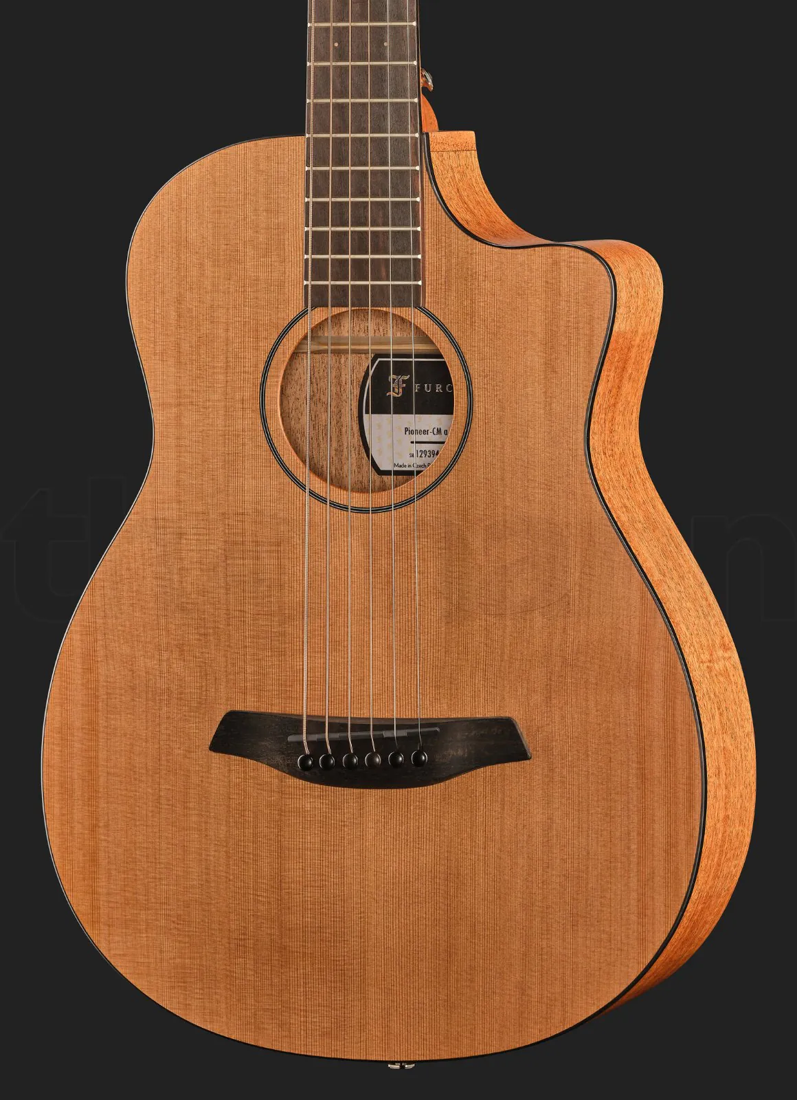 גיטרה אקוסטית Furch Pioneer-CM a 2 גיטרה אקוסטית Furch Pioneer-CM a – תמונה 2