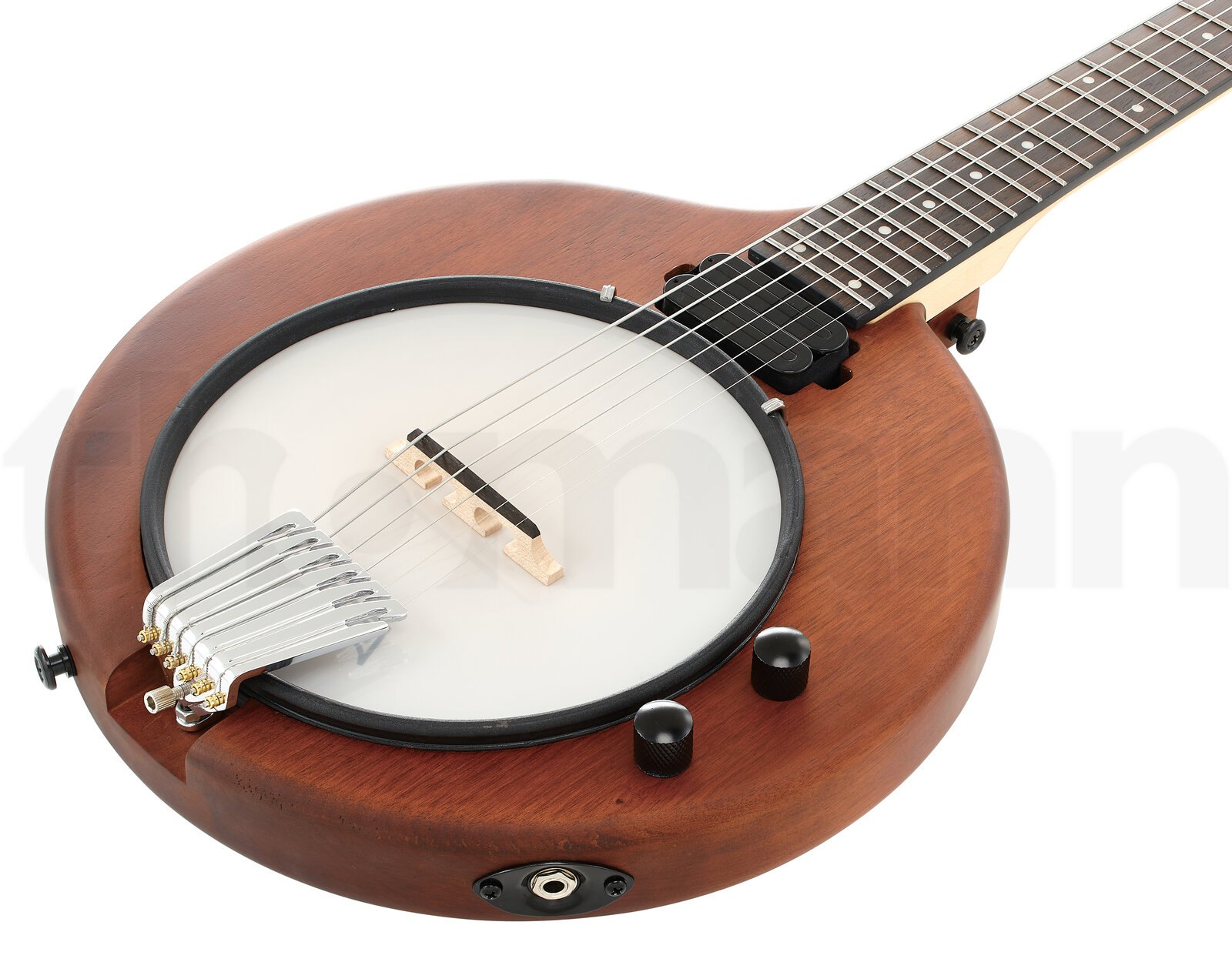בנג׳ו Gold Tone EB-6 E-Banjo w/Bag 2 בנג׳ו Gold Tone EB-6 E-Banjo w/Bag – תמונה 2