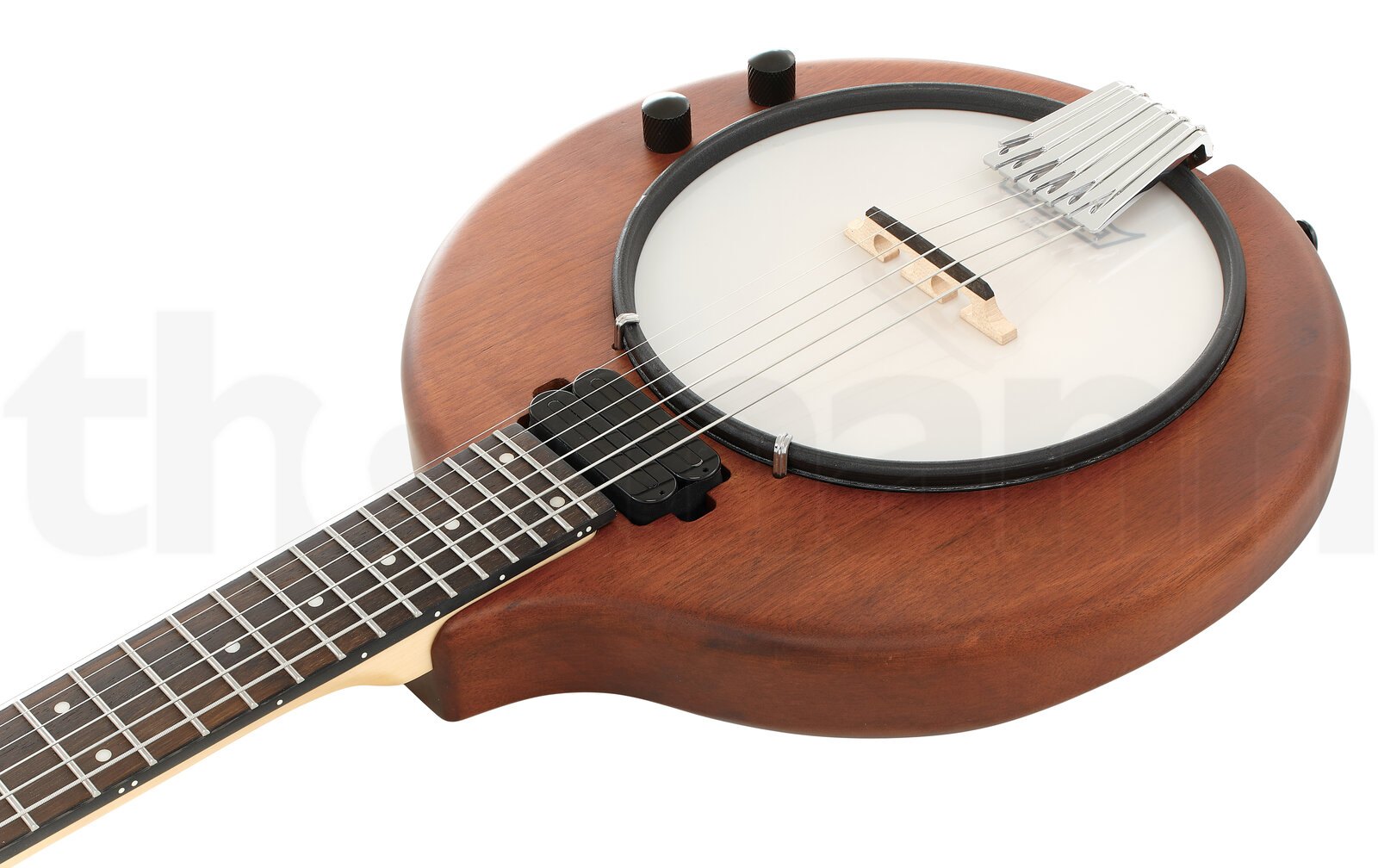 בנג׳ו Gold Tone EB-6 E-Banjo w/Bag 3 בנג׳ו Gold Tone EB-6 E-Banjo w/Bag – תמונה 3