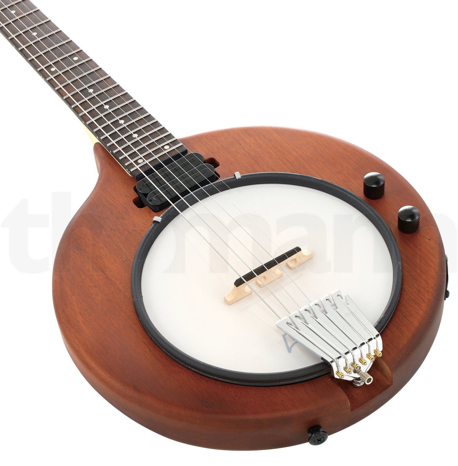 בנג׳ו Gold Tone EB-6 E-Banjo w/Bag 4 בנג׳ו Gold Tone EB-6 E-Banjo w/Bag – תמונה 4