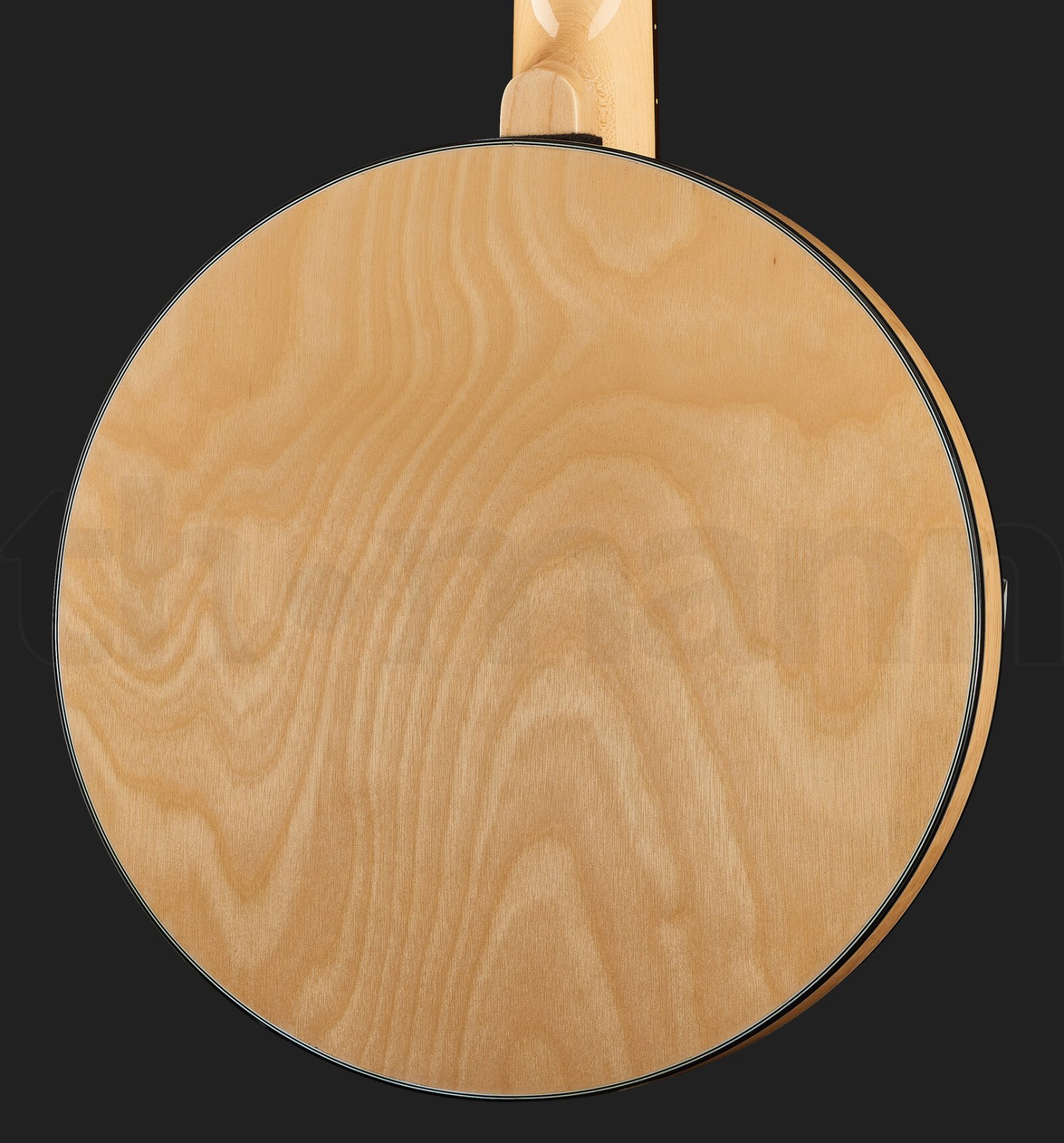 בנג׳ו Gold Tone GT-500 6 String Banjitar 3 בנג׳ו Gold Tone GT-500 6 String Banjitar – תמונה 3