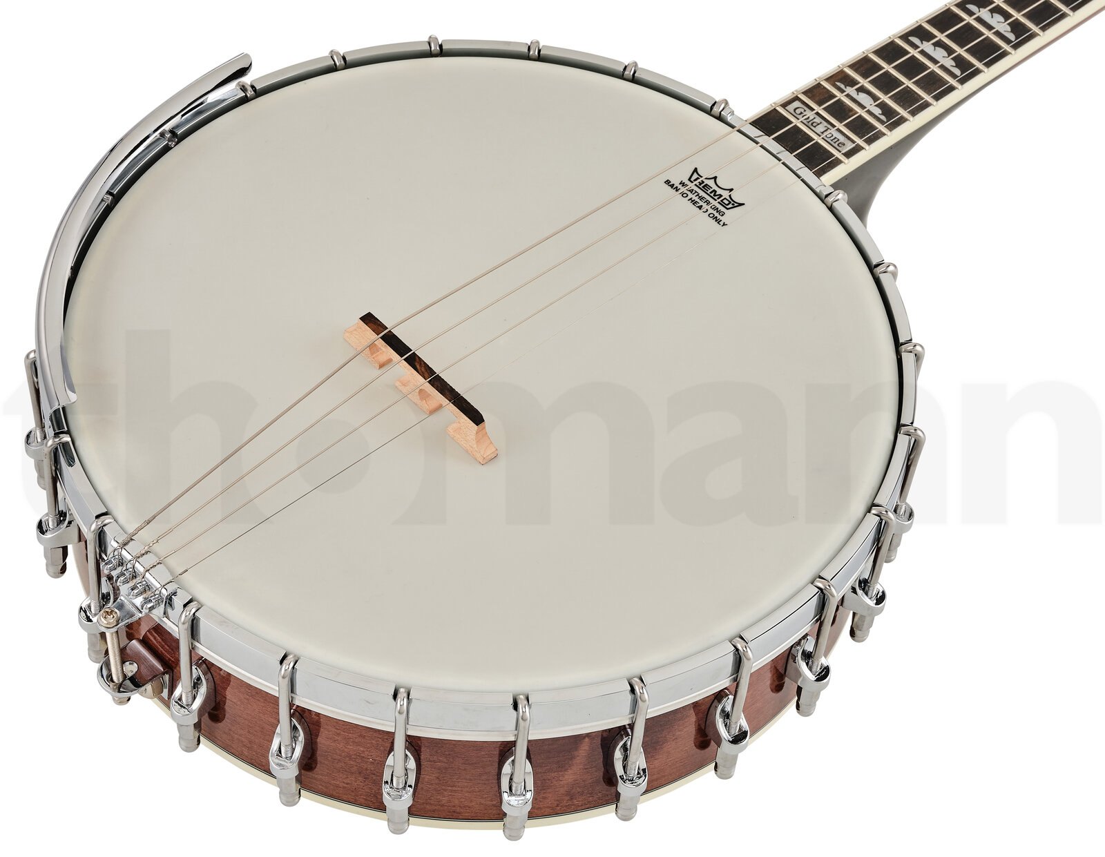 בנג׳ו Gold Tone IT-250 Irish Tenor Banjo 11 2 בנג׳ו Gold Tone IT-250 Irish Tenor Banjo 11 – תמונה 2