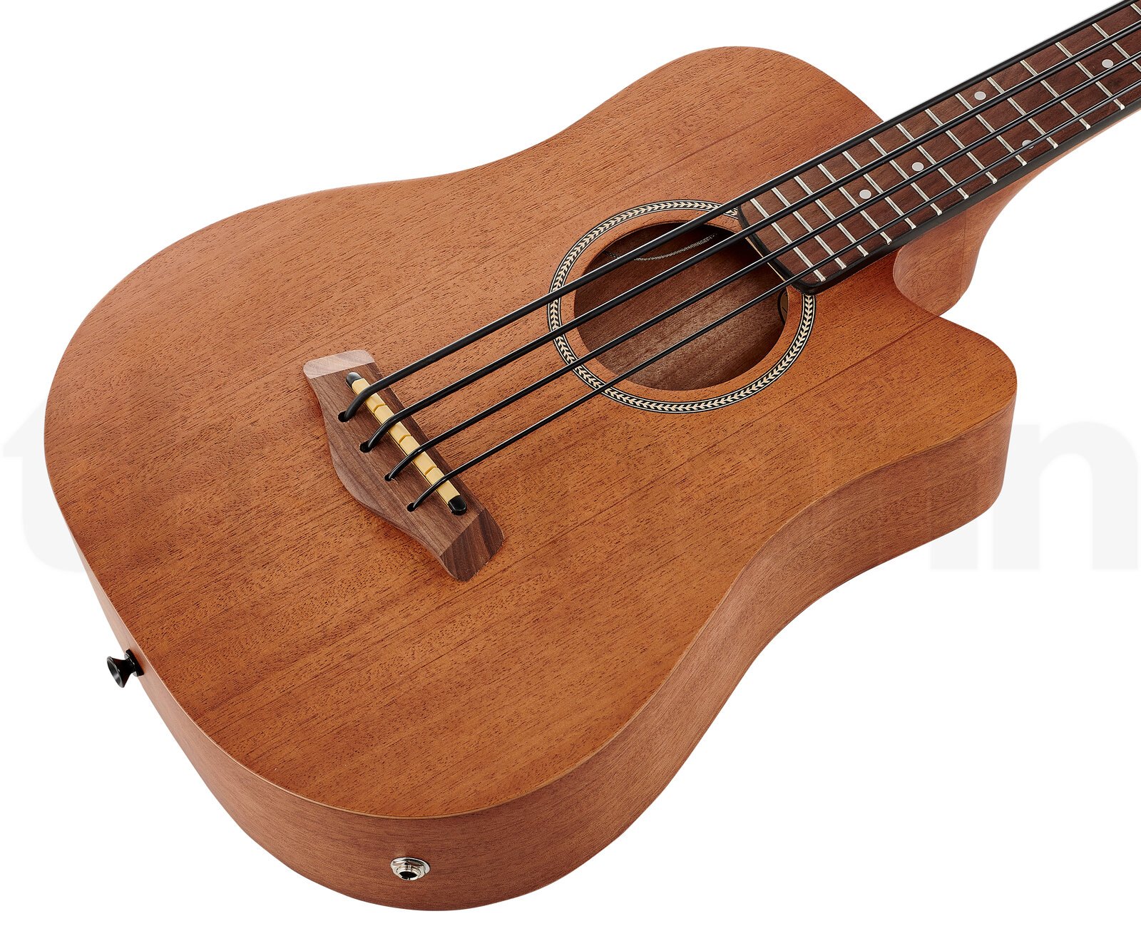 גיטרת בס Gold Tone Micro Bass 23 w/Bag 3 גיטרת בס Gold Tone Micro Bass 23 w/Bag – תמונה 3