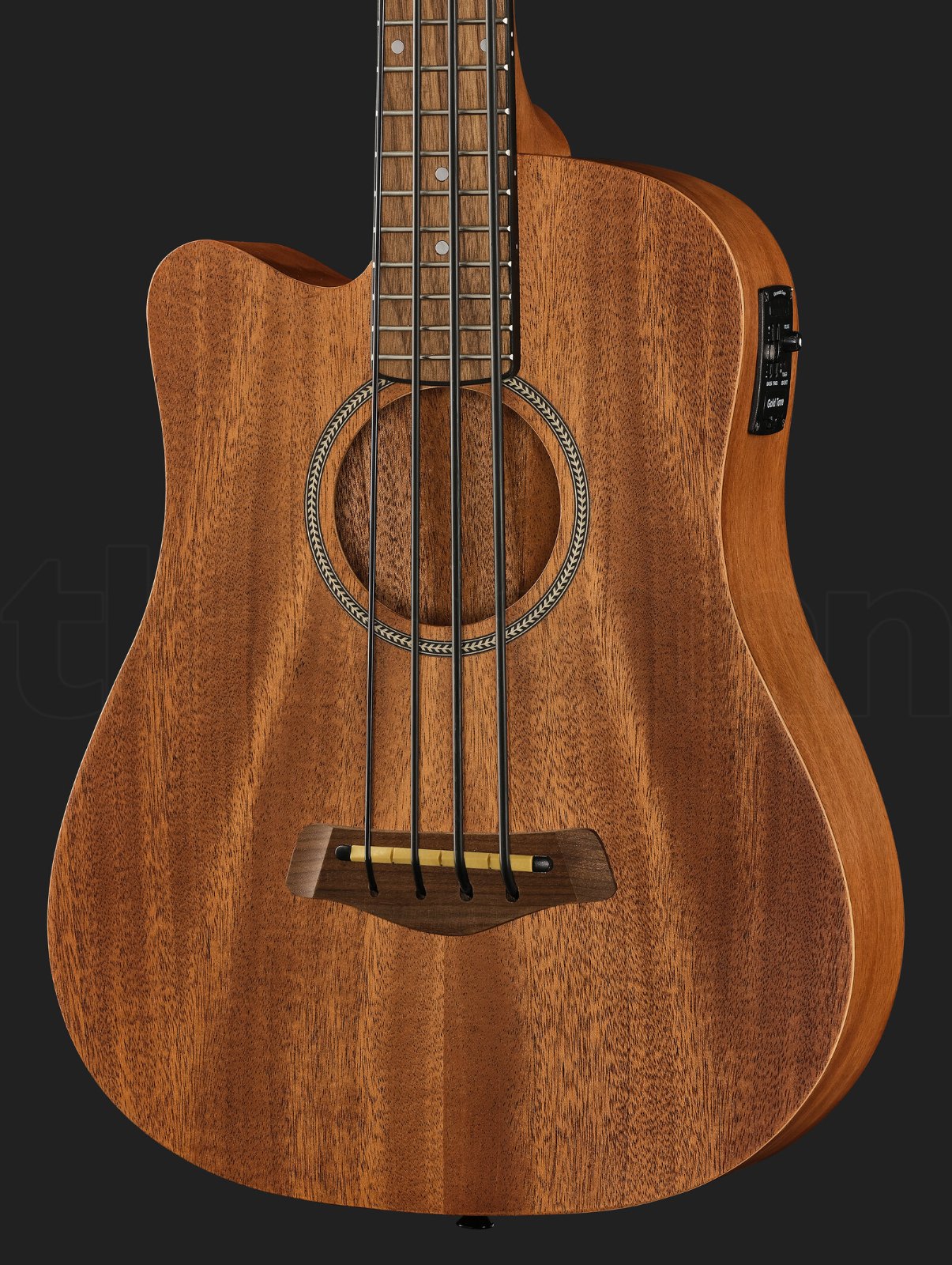 גיטרת בס Gold Tone Micro Bass 23 w/Bag LH 2 גיטרת בס Gold Tone Micro Bass 23 w/Bag LH – תמונה 2