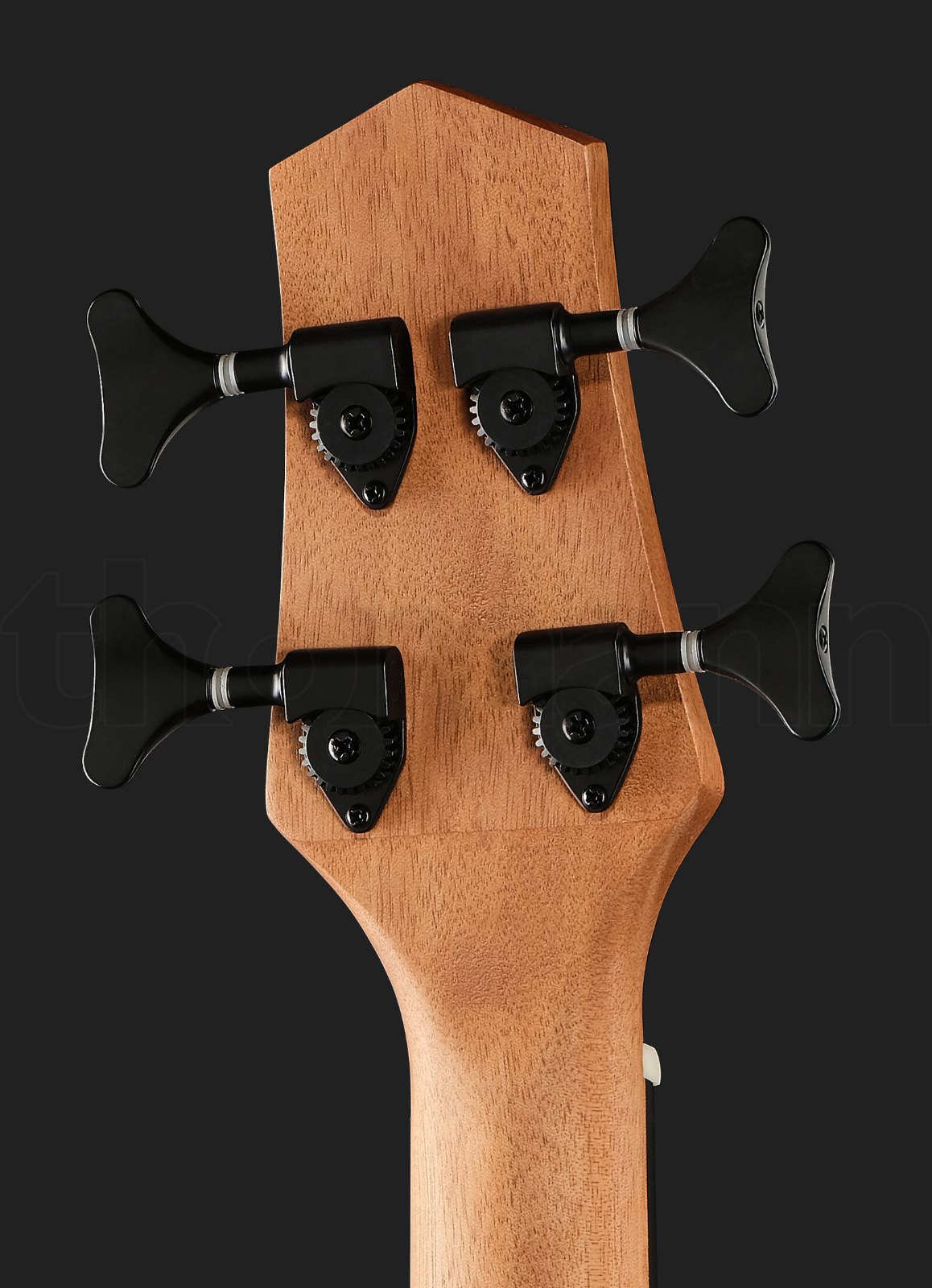 גיטרת בס Gold Tone Micro Bass 23 w/Bag LH 5 גיטרת בס Gold Tone Micro Bass 23 w/Bag LH – תמונה 5