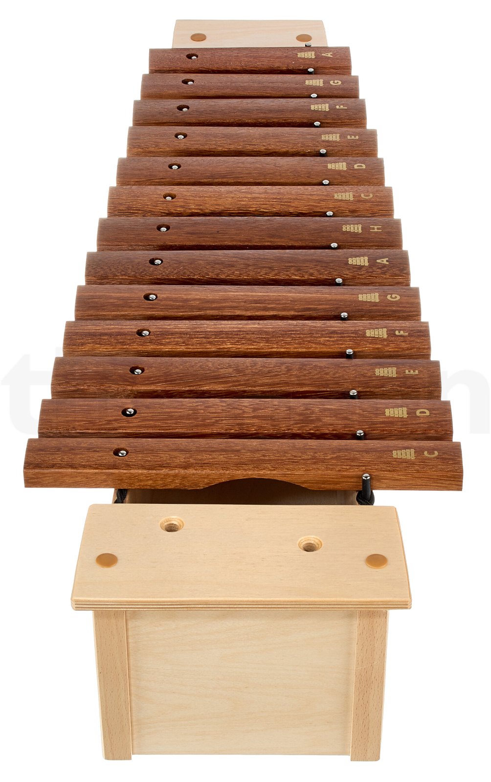 כלי הקשה תזמורתי Goldon Soprano Xylophone Model 10200 4 כלי הקשה תזמורתי Goldon Soprano Xylophone Model 10200 – תמונה 4