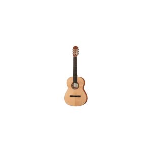 גיטרה אקוסטית Höfner HM65-F-S Senorita