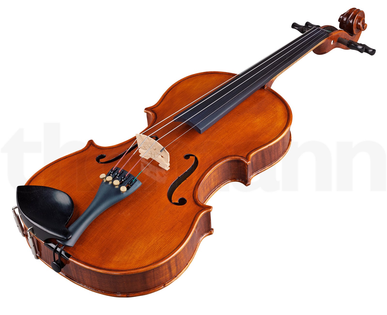 כלי קשת Hidersine Piacenza Violin Set 4/4 2 כלי קשת Hidersine Piacenza Violin Set 4/4 – תמונה 2