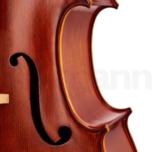 כלי קשת Hidersine Studenti Cello Set 1/2