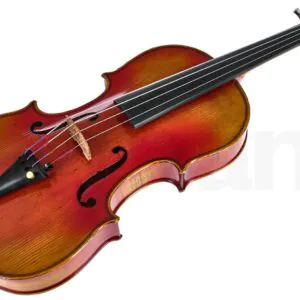 כלי קשת Hidersine Venezia Antiqued Viola Set 14