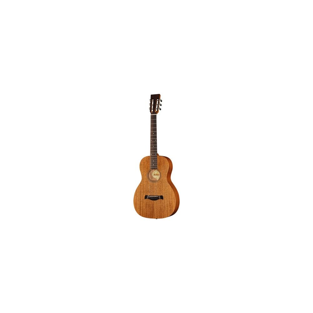 גיטרה אקוסטית Richwood P-50 Parlor 1 גיטרה אקוסטית Richwood P-50 Parlor
