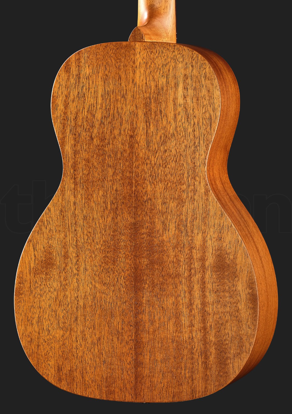 גיטרה אקוסטית Richwood P-50 Parlor 3 גיטרה אקוסטית Richwood P-50 Parlor – תמונה 3