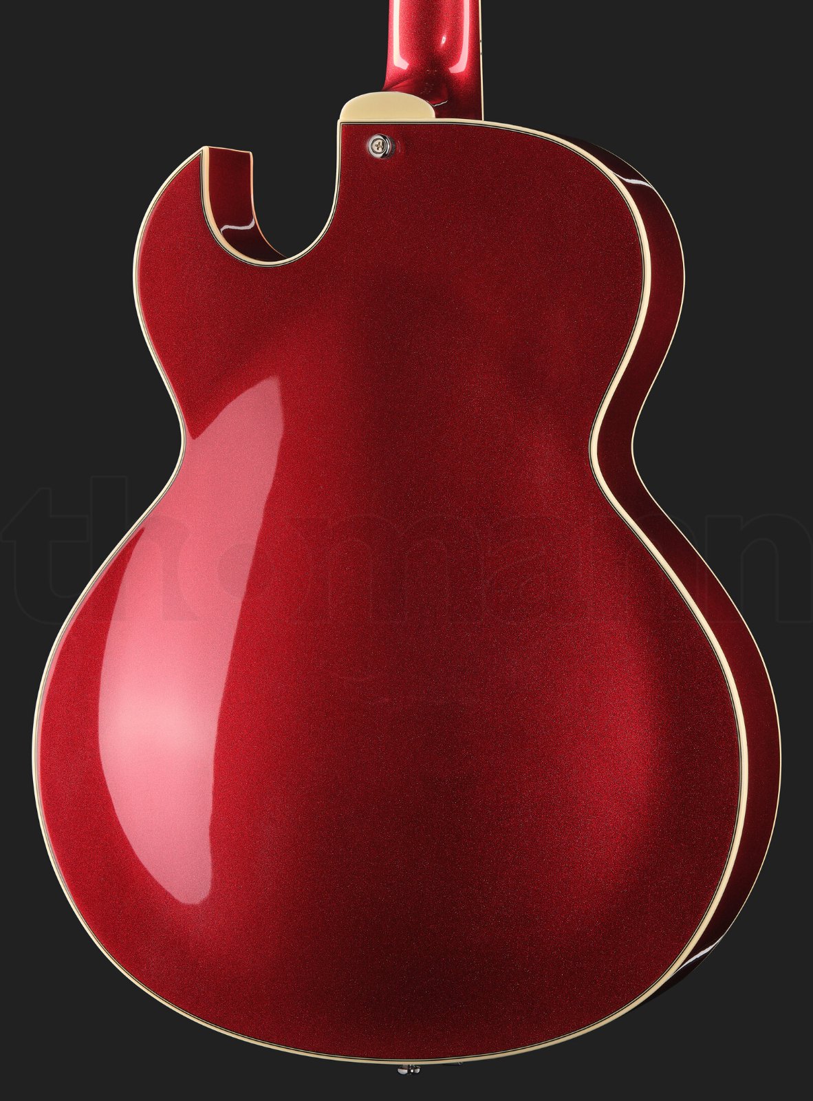 גיטרה חשמלית Stanford CR Fatboy CAR 95 Bigsby B60 3 גיטרה חשמלית Stanford CR Fatboy CAR 95 Bigsby B60 – תמונה 3