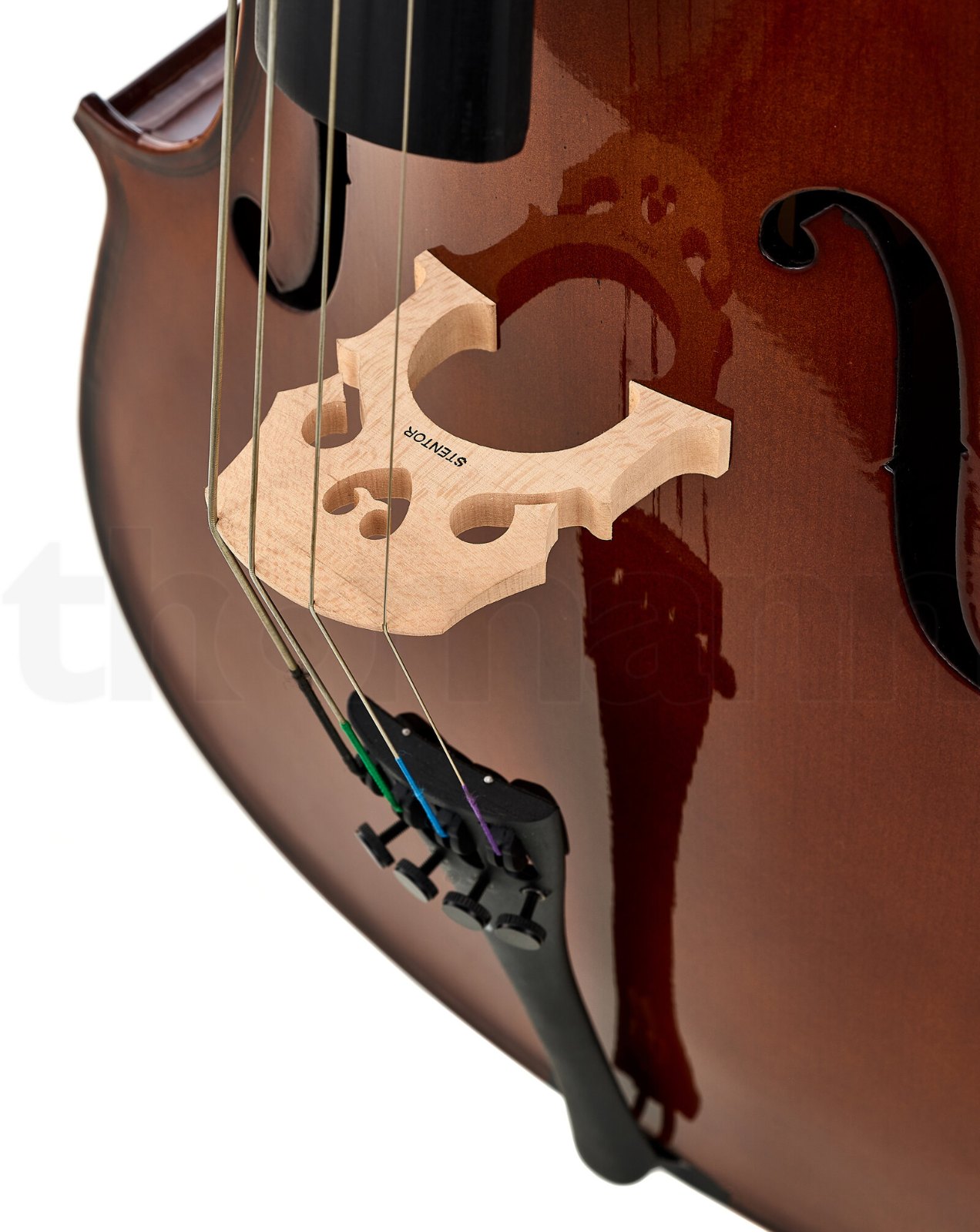 כלי קשת Stentor SR1108 Cello Student II 1/2 3 כלי קשת Stentor SR1108 Cello Student II 1/2 – תמונה 3