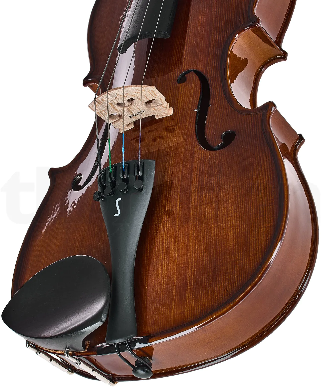 כלי קשת Stentor SR1505 Viola Student II 15" 4 כלי קשת Stentor SR1505 Viola Student II 15" – תמונה 4