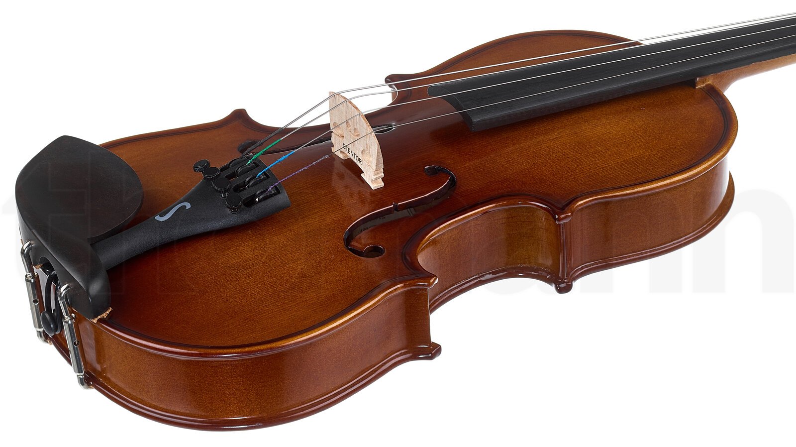 כלי קשת Stentor SR1542 Violin Graduate 1/2 3 כלי קשת Stentor SR1542 Violin Graduate 1/2 – תמונה 3