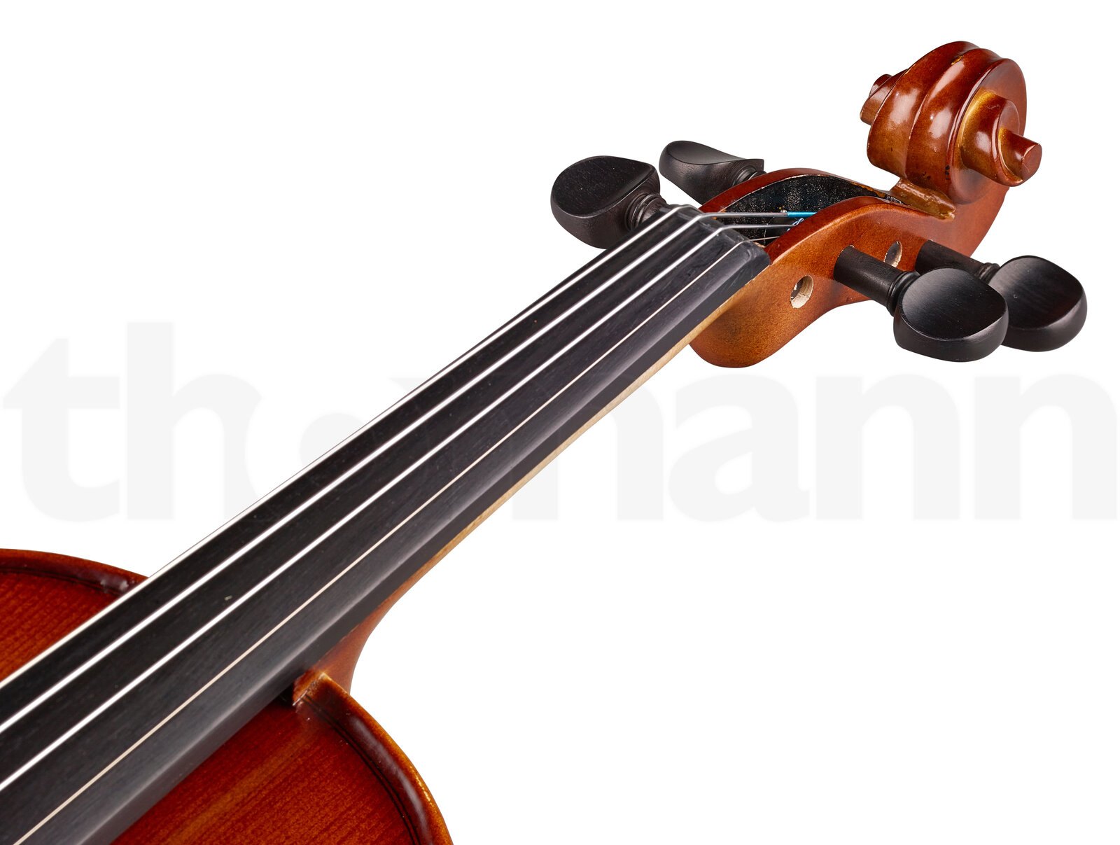 כלי קשת Stentor SR1542 Violin Graduate 3/4 5 כלי קשת Stentor SR1542 Violin Graduate 3/4 – תמונה 5