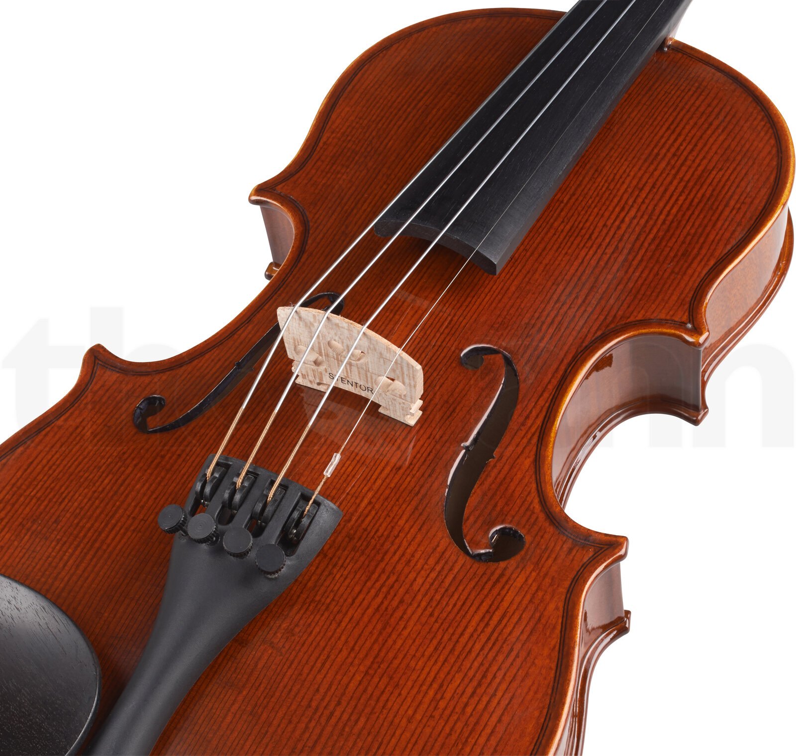 כלי קשת Stentor SR1550 Conservatoire 1/2 3 כלי קשת Stentor SR1550 Conservatoire 1/2 – תמונה 3