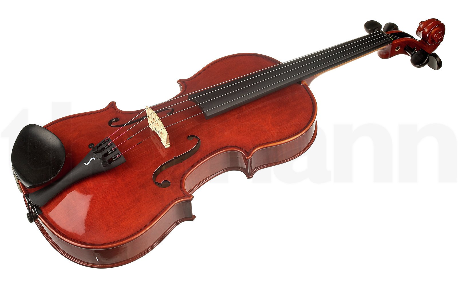 כלי קשת Stentor SR1550 Conservatoire 4/4 2 כלי קשת Stentor SR1550 Conservatoire 4/4 – תמונה 2