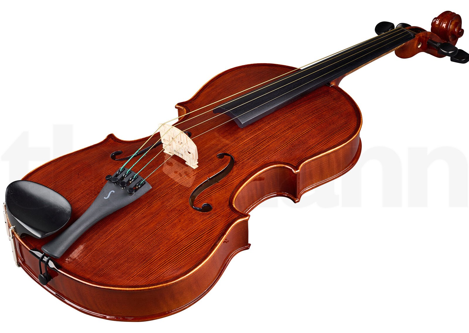 כלי קשת Stentor SR1551 Viola Conservat. 16,5" 2 כלי קשת Stentor SR1551 Viola Conservat. 16,5" – תמונה 2