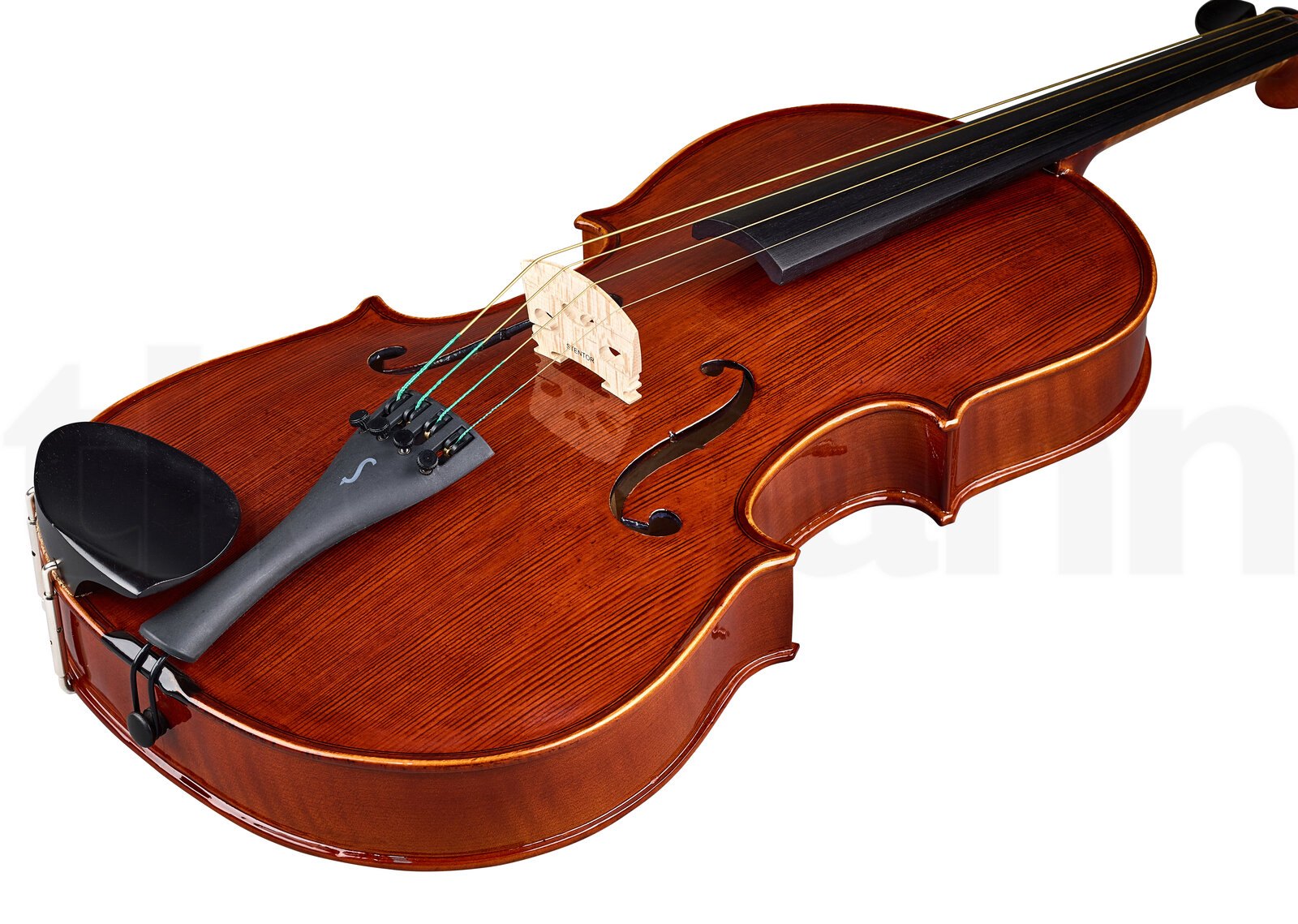 כלי קשת Stentor SR1551 Viola Conservat. 16,5" 3 כלי קשת Stentor SR1551 Viola Conservat. 16,5" – תמונה 3