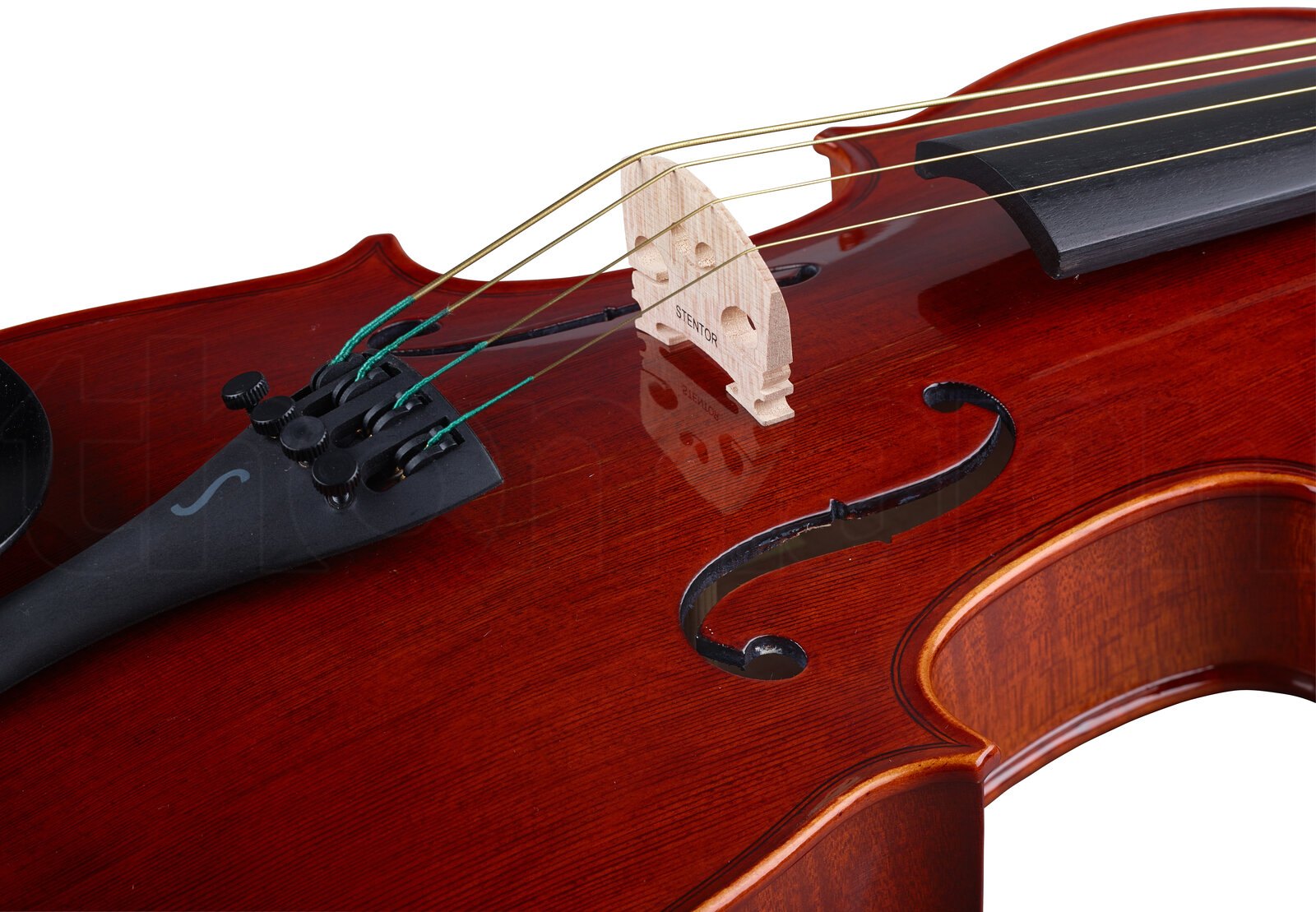 כלי קשת Stentor SR1551 Viola Conservatoire 14" 5 כלי קשת Stentor SR1551 Viola Conservatoire 14" – תמונה 5