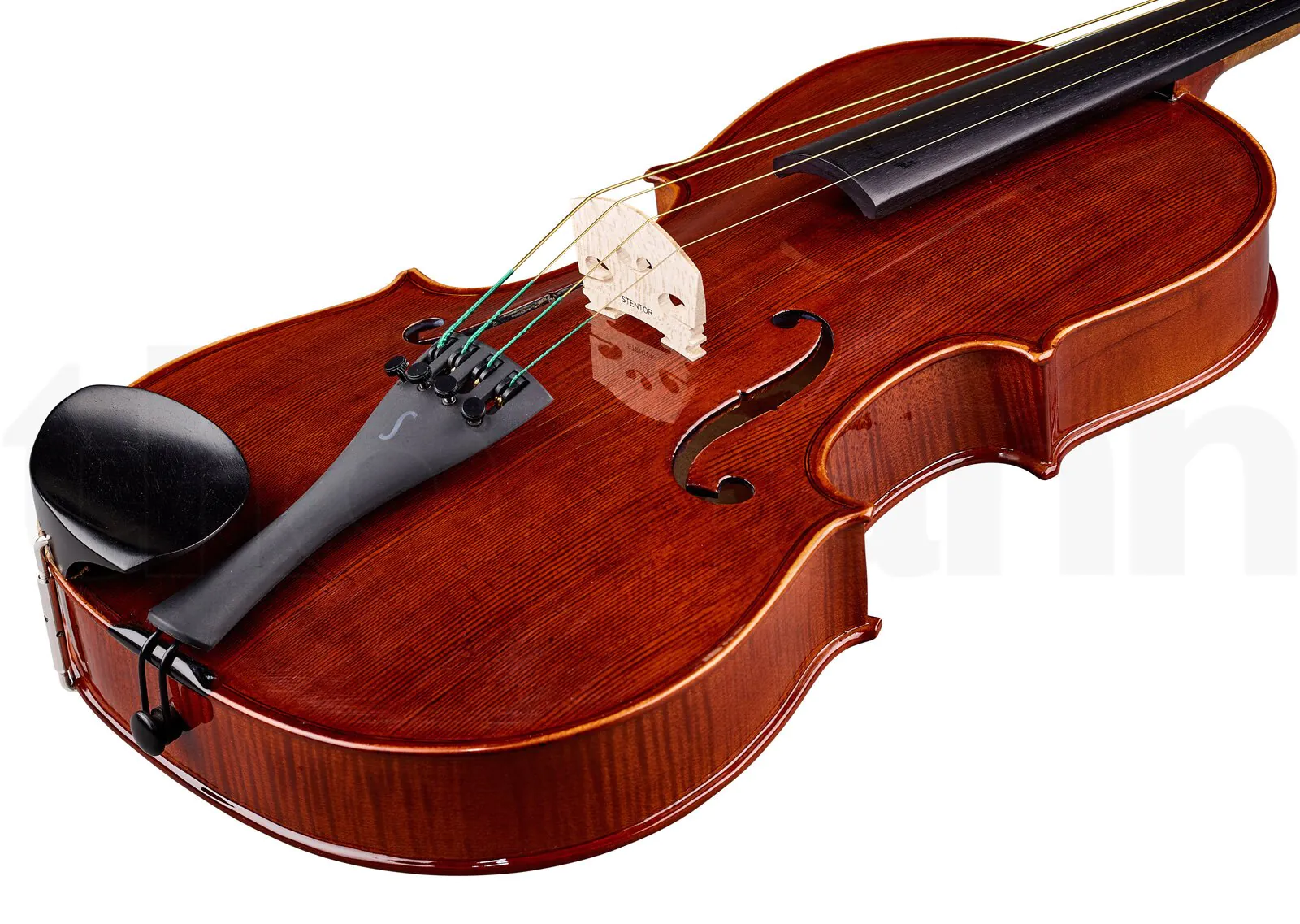 כלי קשת Stentor SR1551 Viola Conservatoire 15" 2 כלי קשת Stentor SR1551 Viola Conservatoire 15" – תמונה 2