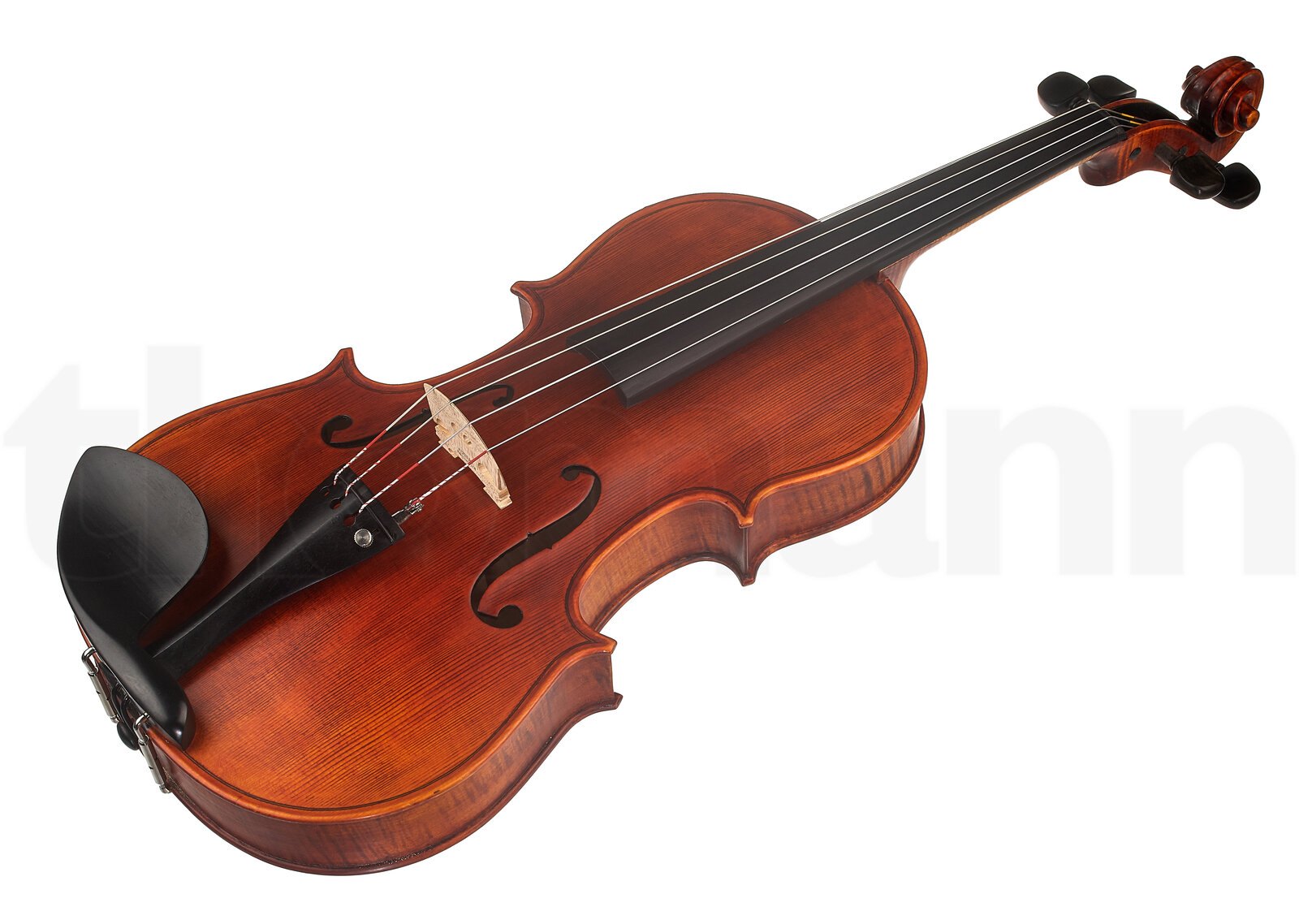 כלי קשת Stentor SR1876 Elysia Viola 15'' 2 כלי קשת Stentor SR1876 Elysia Viola 15'' – תמונה 2