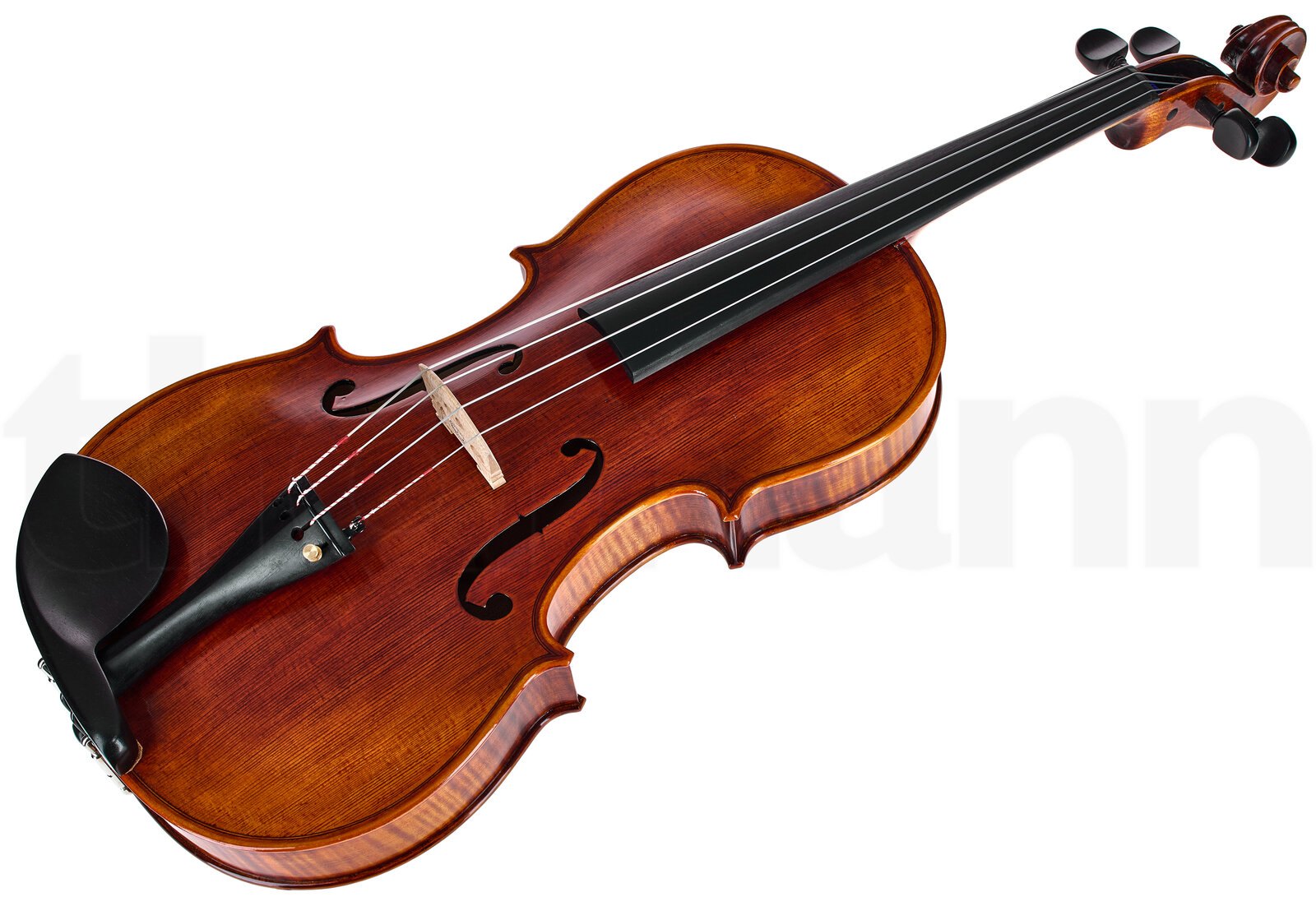 כלי קשת Stentor SR1876 Elysia Viola 16" 2 כלי קשת Stentor SR1876 Elysia Viola 16" – תמונה 2